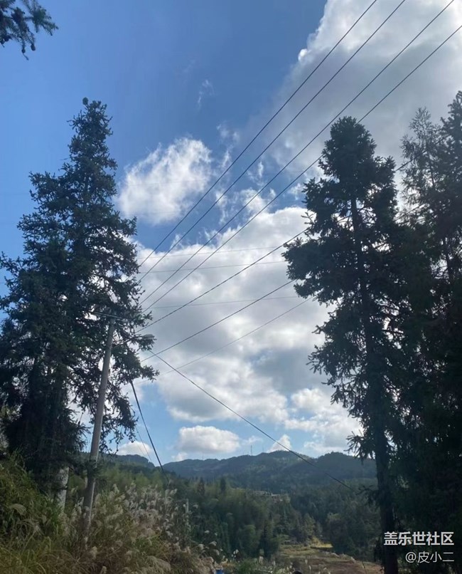 【抓住秋天的尾巴】深秋风景