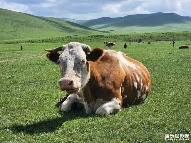 《精品大咖秀》 第二十七期:难忘2023 《精品大咖秀》 第二十七期:难忘2023