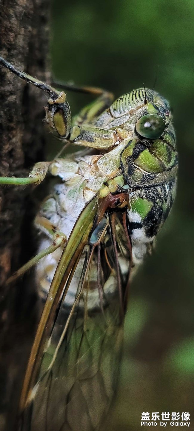 《精品大咖秀》 第二十七期:难忘2023 《精品大咖秀》 第二十七期:难忘2023