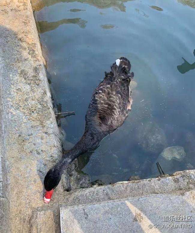 【秋日胜春朝】遛娃