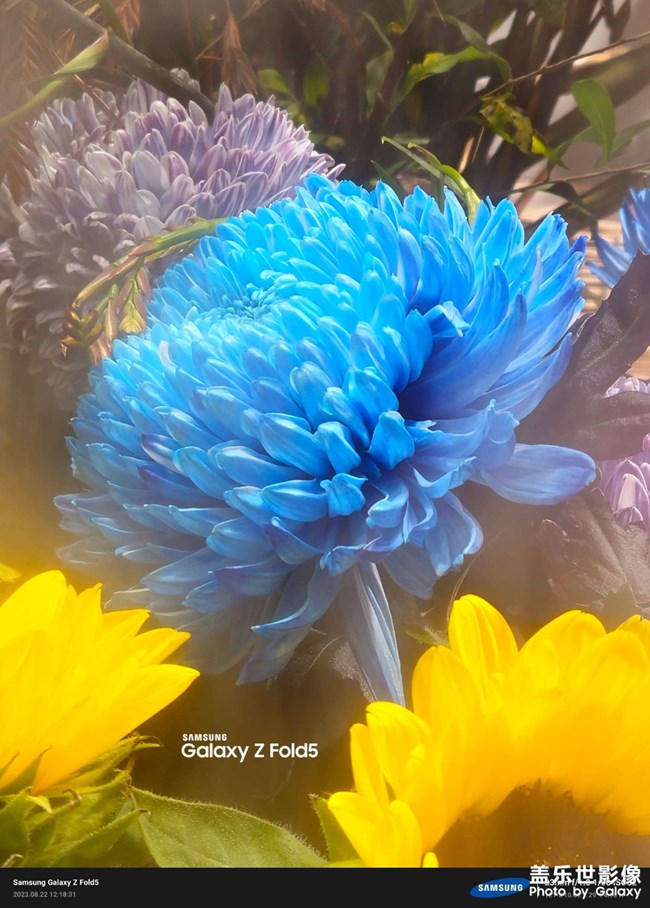 《精品大咖秀》 第二十七期:难忘2023 《精品大咖秀》 第二十七期:难忘2023