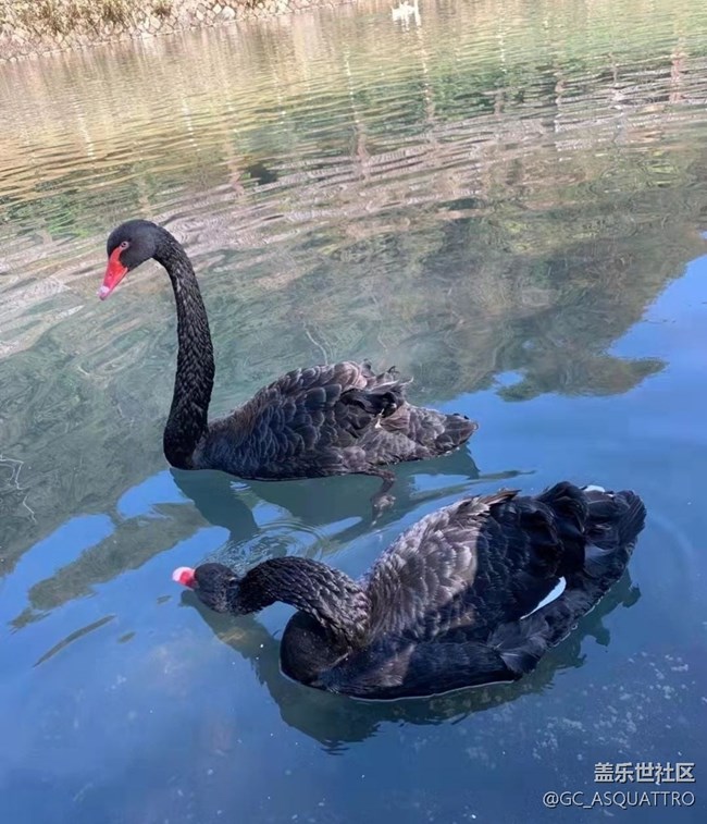 【秋日胜春朝】遛娃