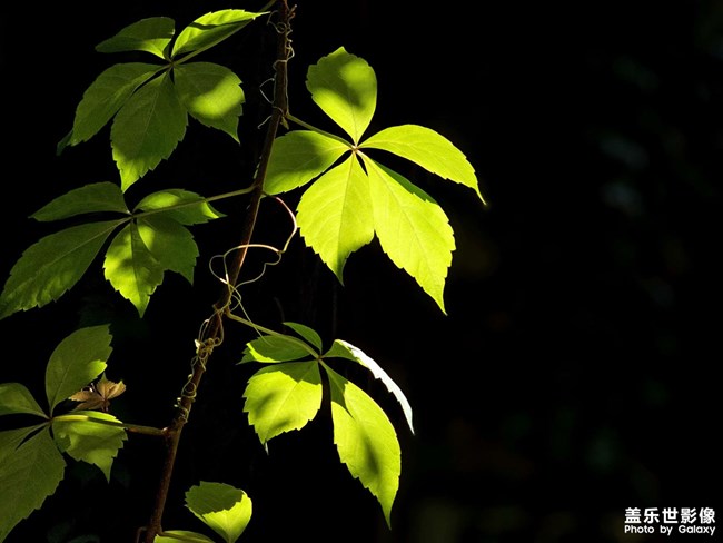 《精品大咖秀》 第二十七期:难忘2023 《精品大咖秀》 第二十七期:难忘2023