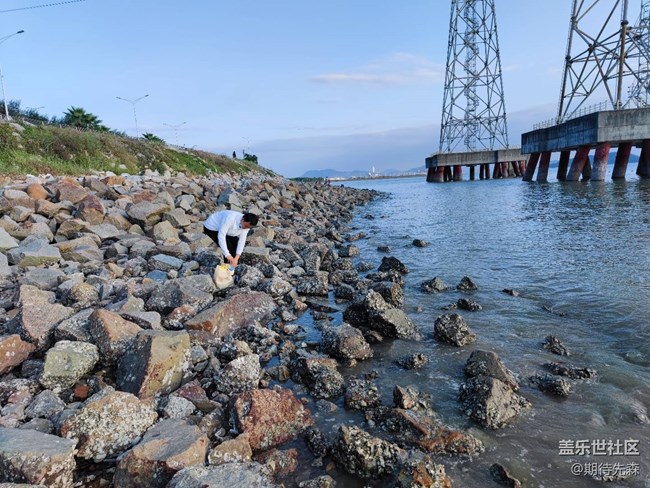 【秋日胜春朝】海边夕阳