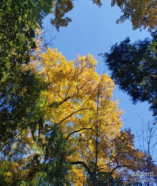 【抓住秋天的尾巴】景色
