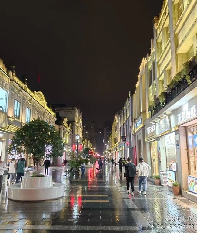 【美丽的夜】冬雨