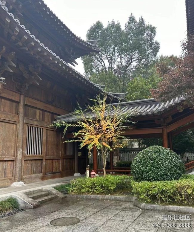 【秋日胜春朝】秋季求佛