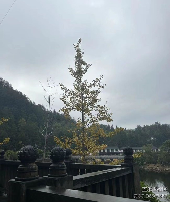 【秋日胜春朝】秋季求佛