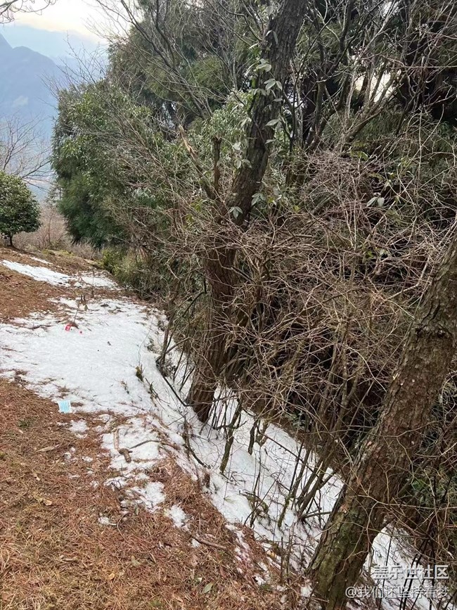 【浪漫的尽头】瑞雪兆丰年