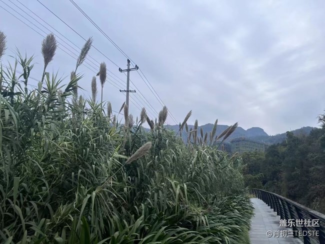 【浪漫的尽头】冬日色彩