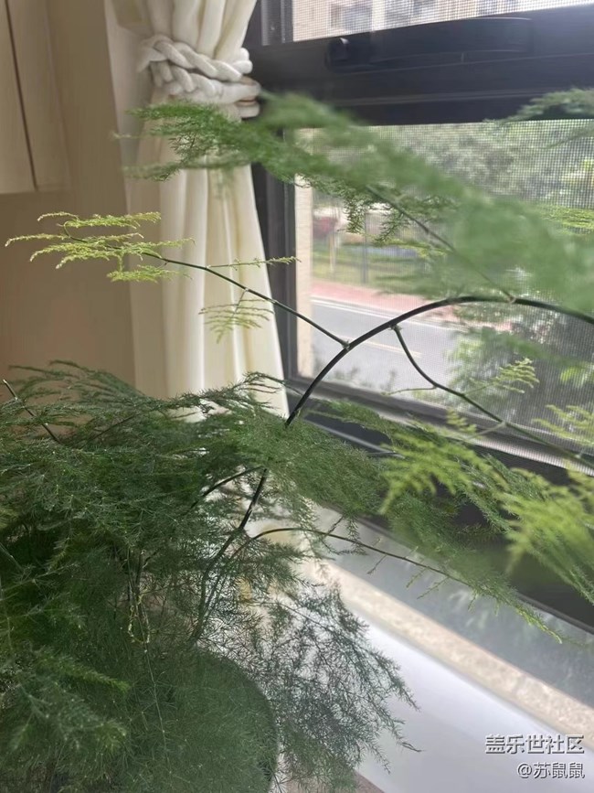 【冬日物语】冬至