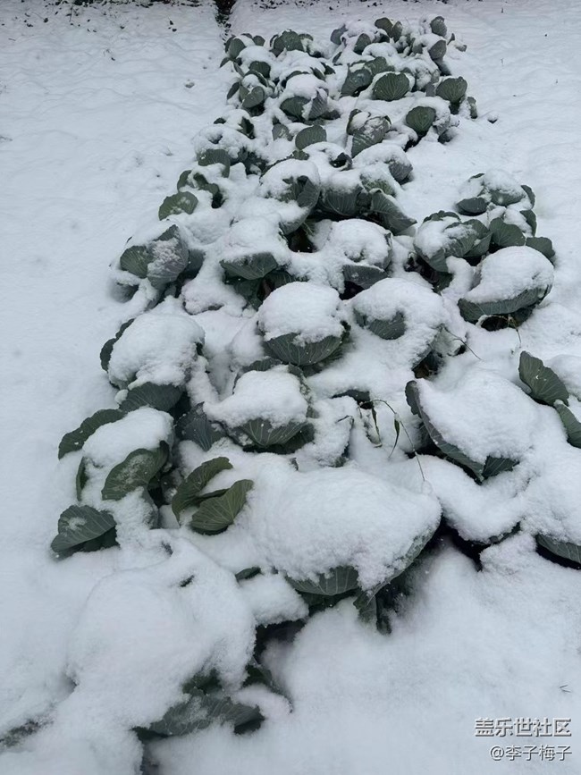 【冬日物语】雪景