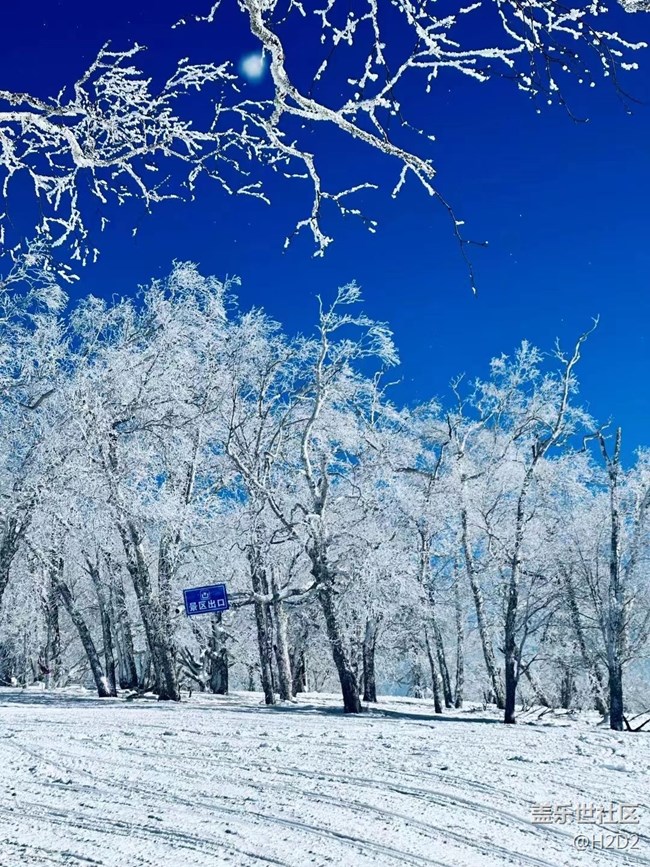 【冬日物语】冰雪世界
