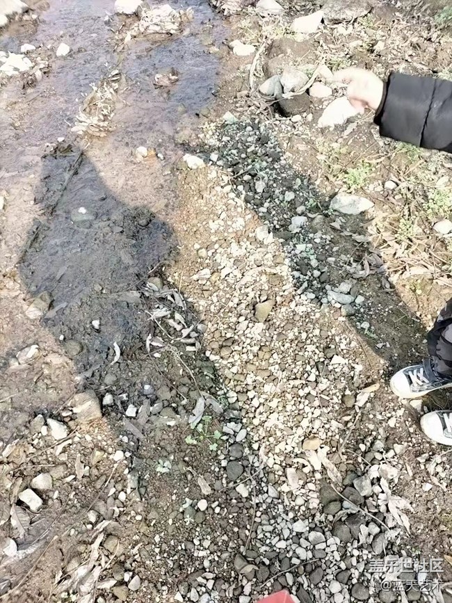 【冬日物语】遛娃