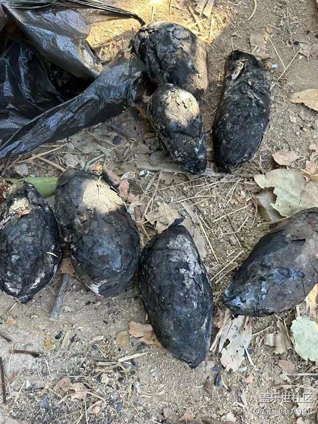 【新年霸王餐】叫花鸡