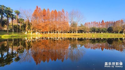 【辞旧迎新】+冬日小景