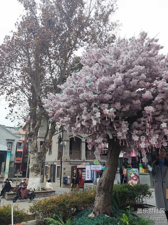 【回首2023】记忆碎片