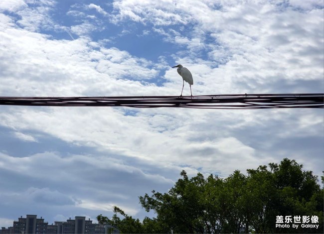 精品大咖秀 第三十期:春节倒计时 精品大咖秀 第三十期:春节倒计时