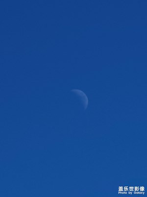 如果风景有颜色