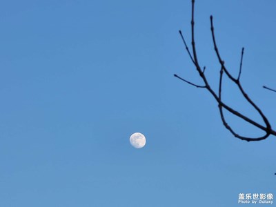 月上柳梢头。