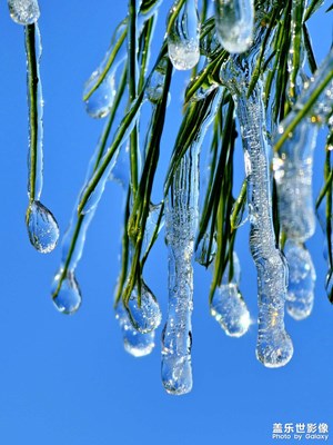【生活的写意】冰雪世界