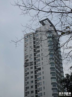 【春运】回家