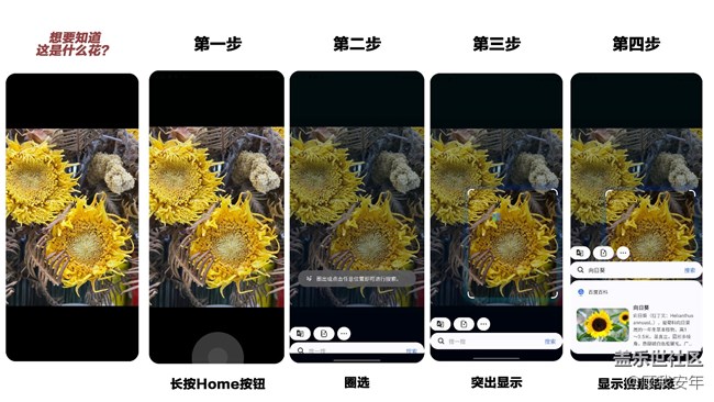 【Galaxy AI系列】Galaxy S24 Ultra的“即圈即搜”真的太方便啦！