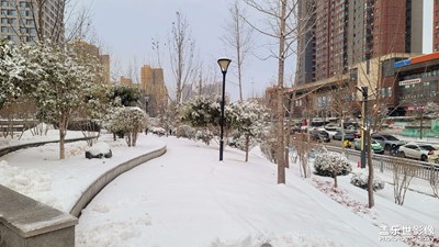【春运】下雪天