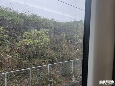 【春运】+春节回家