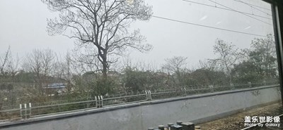 【春运】+回家之路