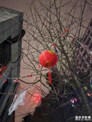 【我家乡的春节】福满天