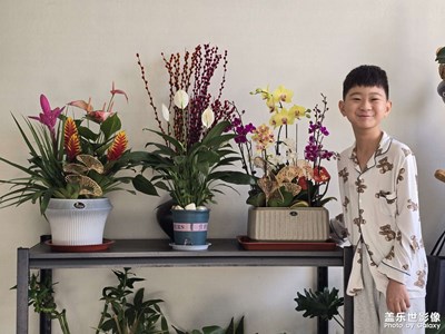 【我家乡的春节】大宝和他的年花