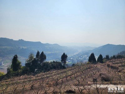 大年初二爬山