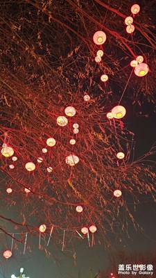 【我家乡的春节】+大红灯笼高高挂