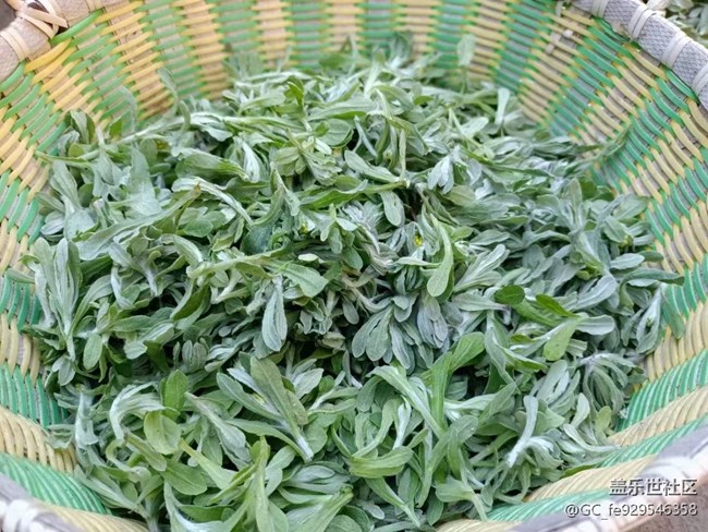 【春节霸王餐】青团