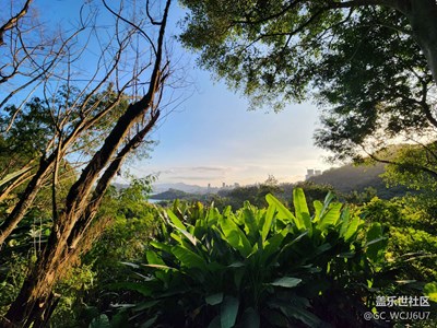 年后深圳好天气