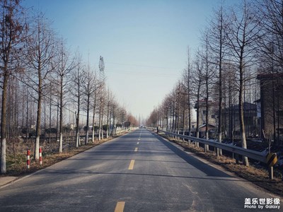 冬日一景