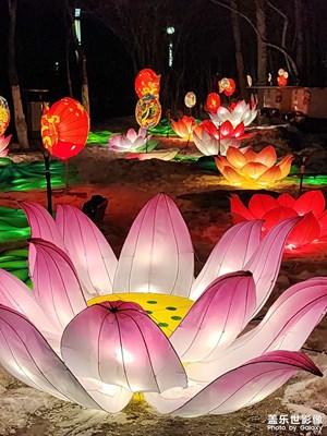 【我家乡的春节】秦淮灯会（三）