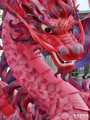 【我家乡的春节】+红红火火过大年