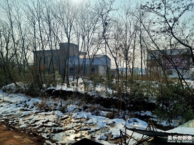 【我家乡的春节】老家雪景