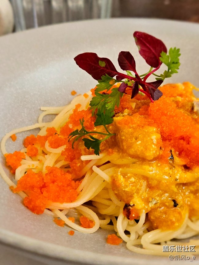 三星 Galaxy S24 系列新品发布会回顾 —— 美食篇