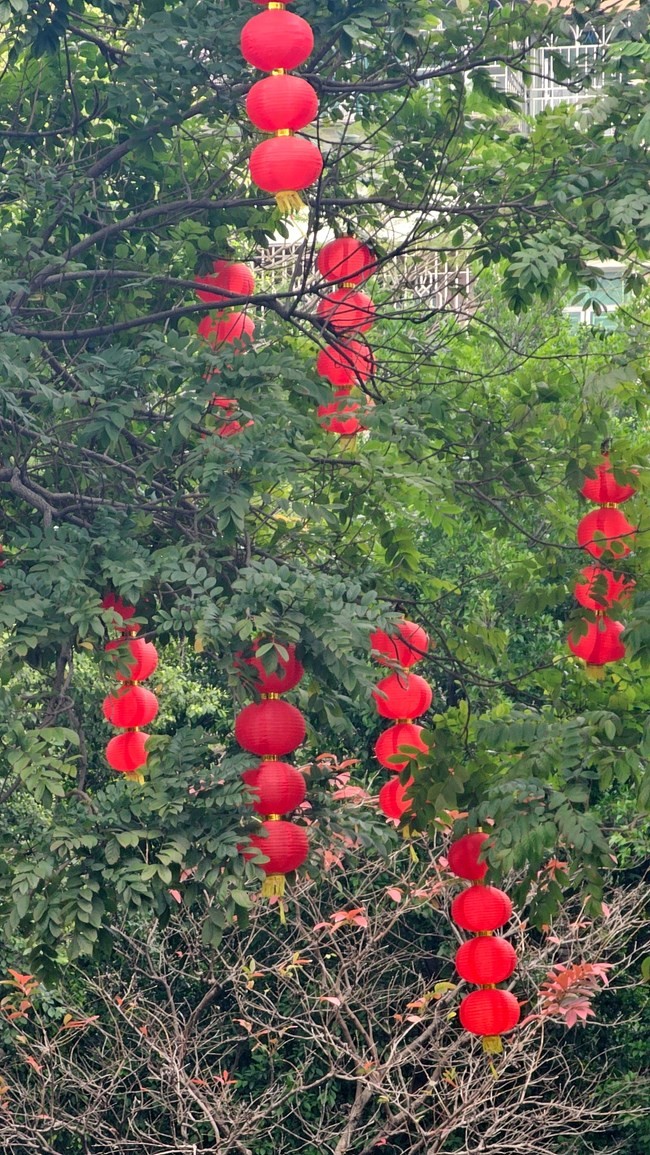 十倍相机拍摄发白的照片用自带相册重录一下就变好了