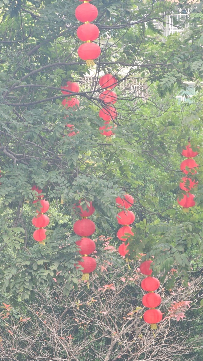 十倍相机拍摄发白的照片用自带相册重录一下就变好了