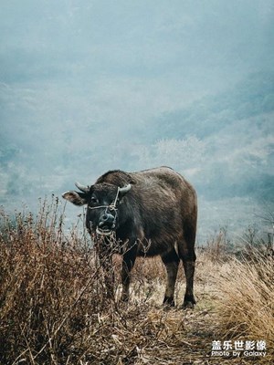 山那边还是山