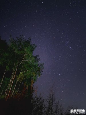 期待一年的星夜