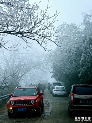 风雪行路人