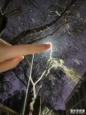 【早春】+ 春雪来了，甘肃的春天从雪开始