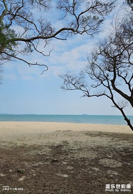 【早春】+ 蓝色海洋