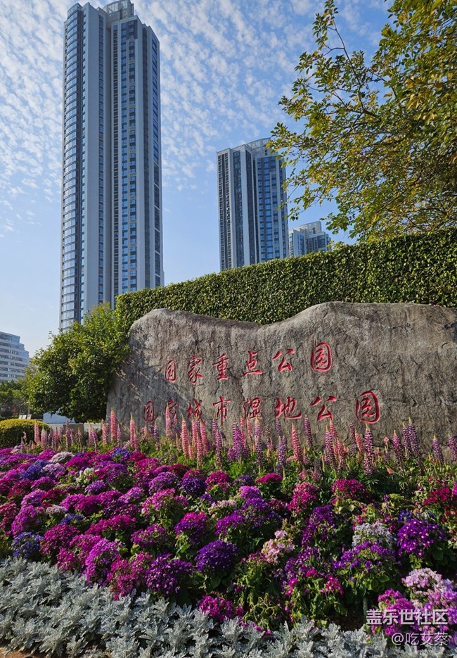 已开奖【旅行版三月第二周】去过的网红景点
