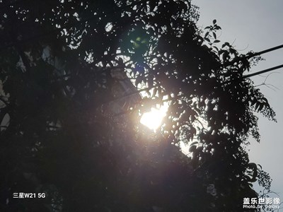 【早春】动人春色